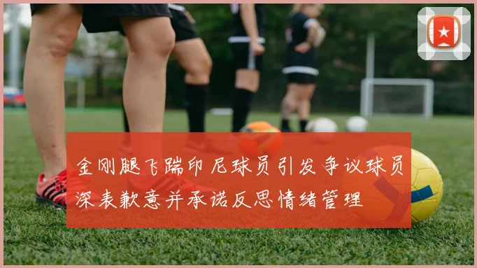 金刚腿飞踹印尼球员引发争议球员深表歉意并承诺反思情绪管理