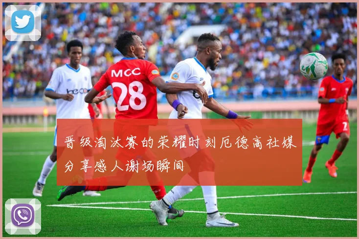晋级淘汰赛的荣耀时刻厄德高社媒分享感人谢场瞬间